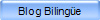 Blog Bilinge